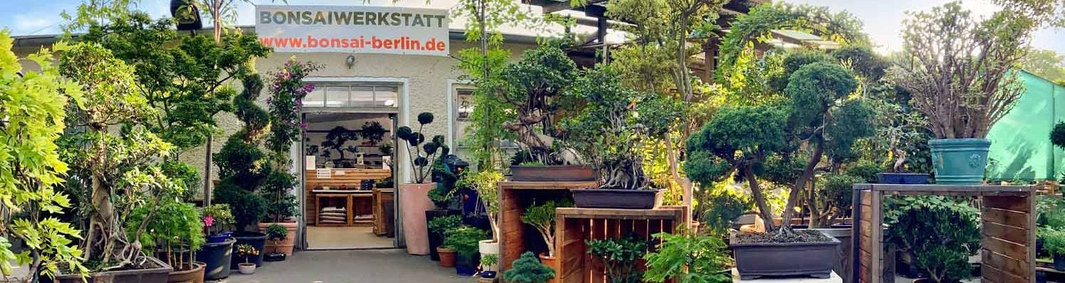 Außenansicht der Bonsaiwerkstatt Berlin